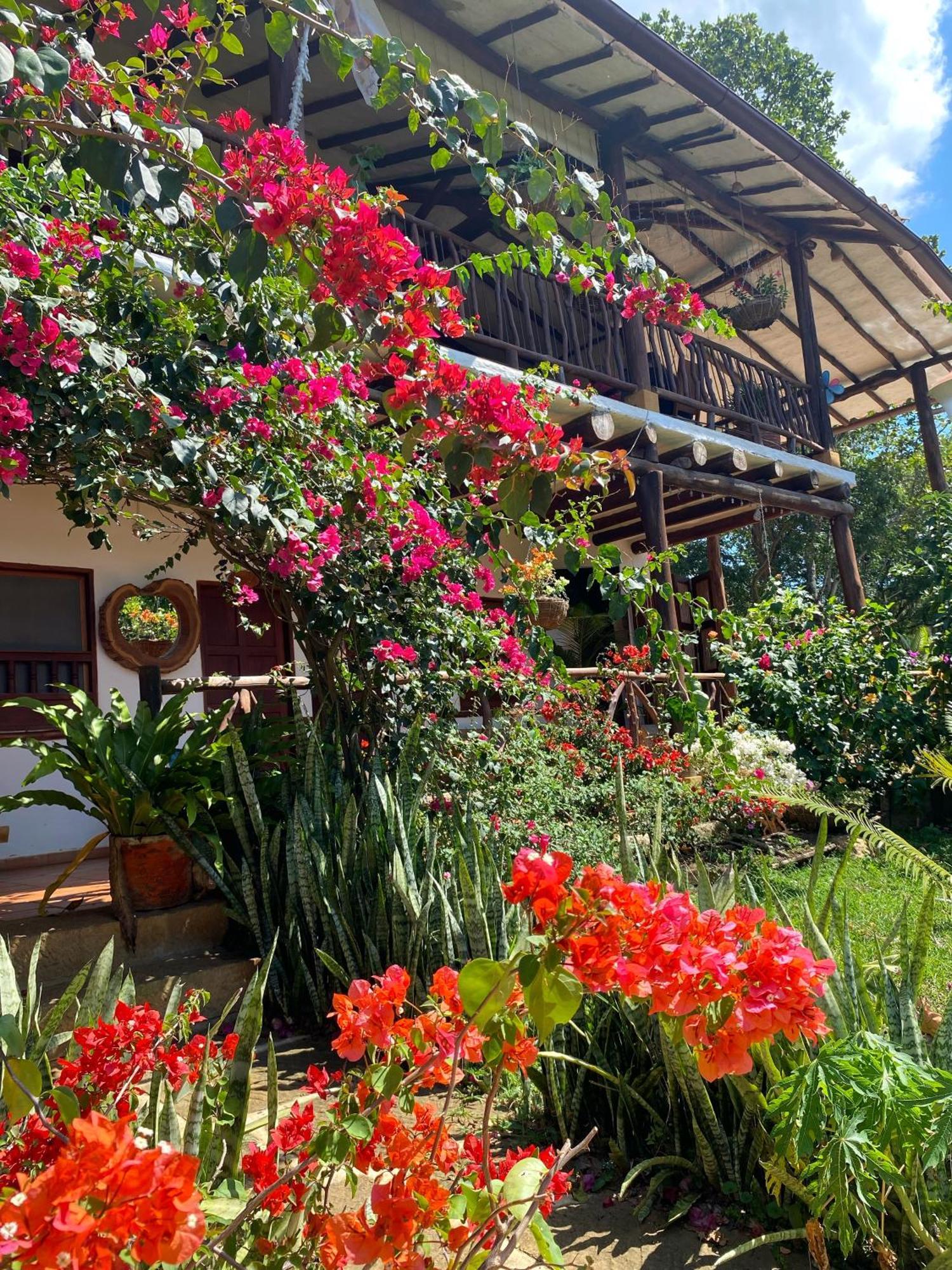 Hostal Villa San Rafael 巴里查拉 外观 照片